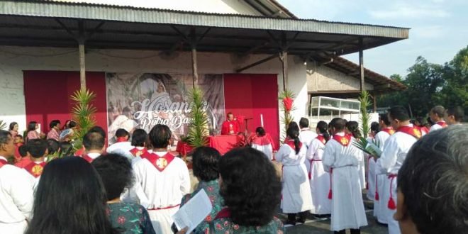 Misa Perayaan Minggu  Palma  Di Gereja  Wedi Diawali 