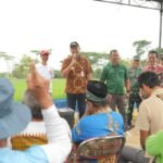 Kendalikan Hama Tikus Menggunakan TBS Jadi Andalan