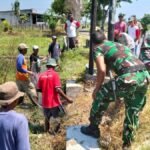 35 Hektar Gagal Panen Padi, Desa Sumyang Gotong Royong Gropyokan Tikus
